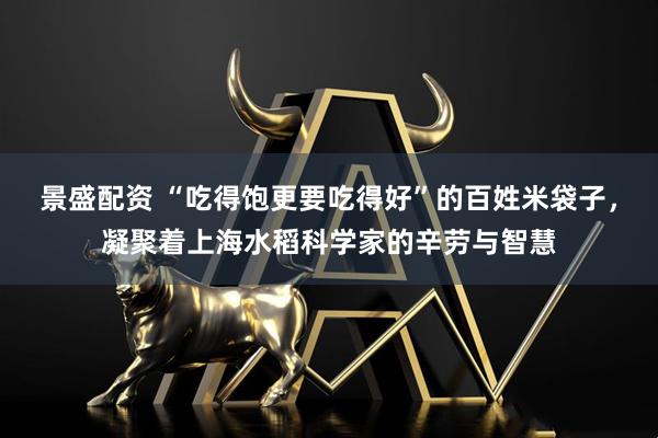 景盛配资 “吃得饱更要吃得好”的百姓米袋子，凝聚着上海水稻科学家的辛劳与智慧